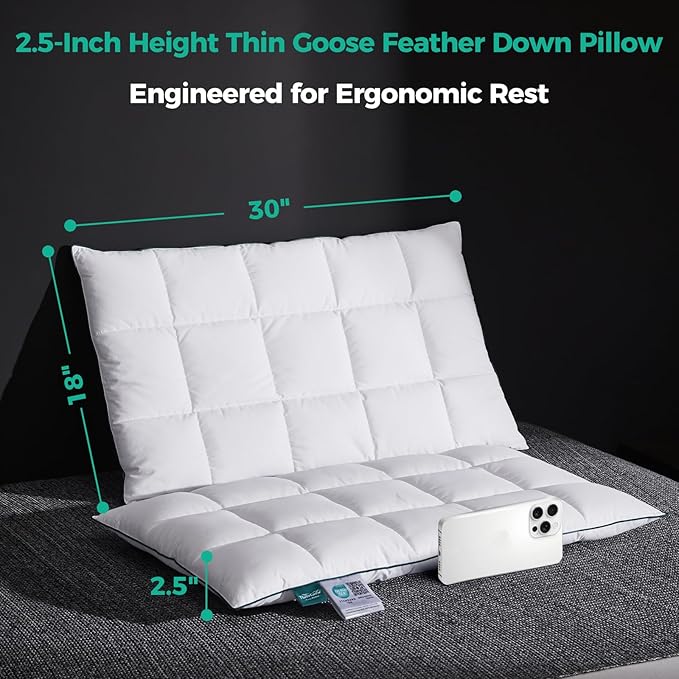 Three Geese Ultra Thin Flat Goose Down Feather Pillows for Sleeping Queen Size, 2.5" Height, 100% Cotton Cover, Ultra Slim Hotel Collection Bed Pillow for Stomach, Back Sleeper, 18x30 in.