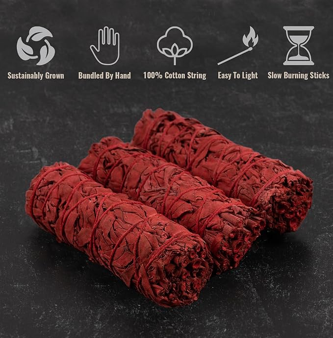 Wish Well Sage Smudge Kit - 3 Dragon's Blood Sage Sticks, 2 Palo Santo, 5-6" Abalone Shell, Stand, Feather - Cleansing House, Meditation, Energy Healing & Reiki, Perfect Starter Kit with Instructions