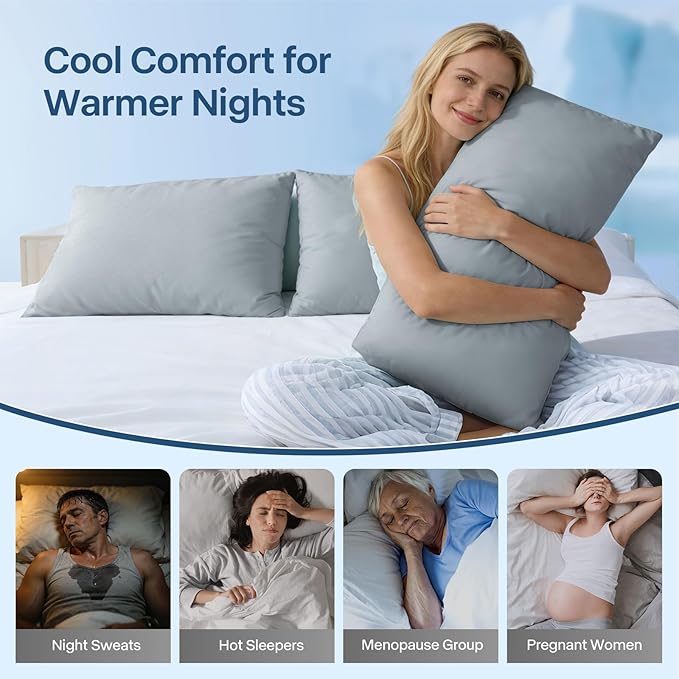 Luxury Cooling Pillowcases Queen Size 2 Pack, Q-Max>0.4 Cool Touch for Hot Sleepers&Night Sweats Beauty Sleep Anti-Frizz, Softer Than Silk Pillowcover Oeko-TEX Certified Elegant Gray