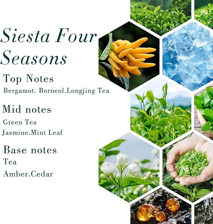 Siesta Aroma Oil Four Season Hotel Luxury Scent for Diffuser Oils, 16.9 Fl Oz (500ml) USA Made, Aroma Oil for Diffusers & Hotel Fragrance Oil for Aromatherapy, Bigger Bottle Bolder Long-Lasting Scent