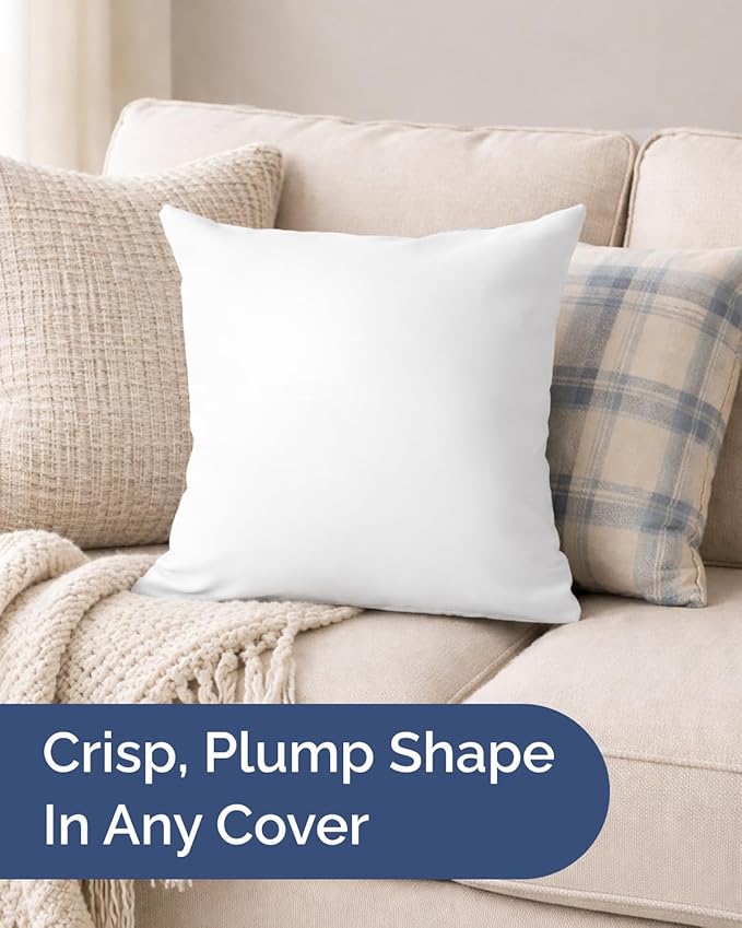 Throw Pillow Inserts 22x22 Set of 2 - Fluffy Down Alternative Fill - 10% More Fill Than Standard Loft - Plump Bounce-Back Support for Indoor & Outdoor Use - Hypoallergenic & Machine Washable - White