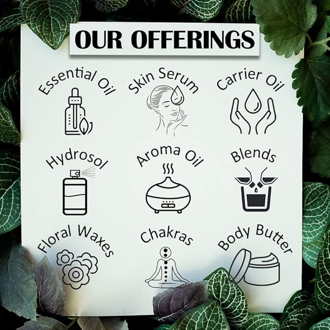 Deve Herbes Pure Cajeput Essential Oil (Melaleuca cajeputi) with Glass Dropper Steam Distilled 15ml (0.50 oz)