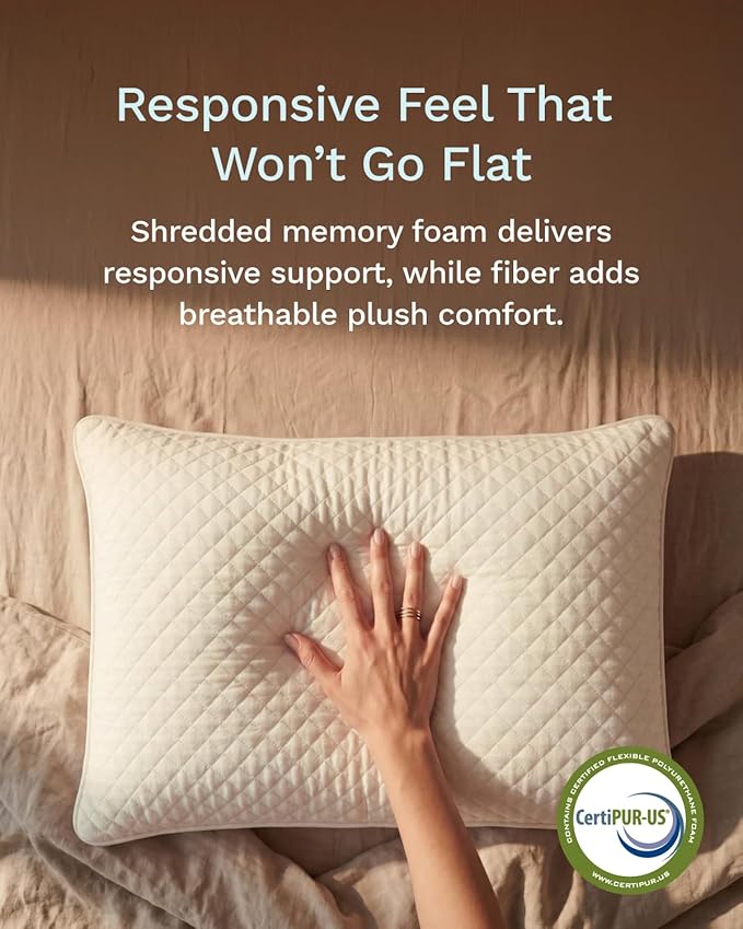 ViscoSoft Standard-Size Memory Foam Pillow - 2-Pack - with Washable Cover and Cooling Fabric