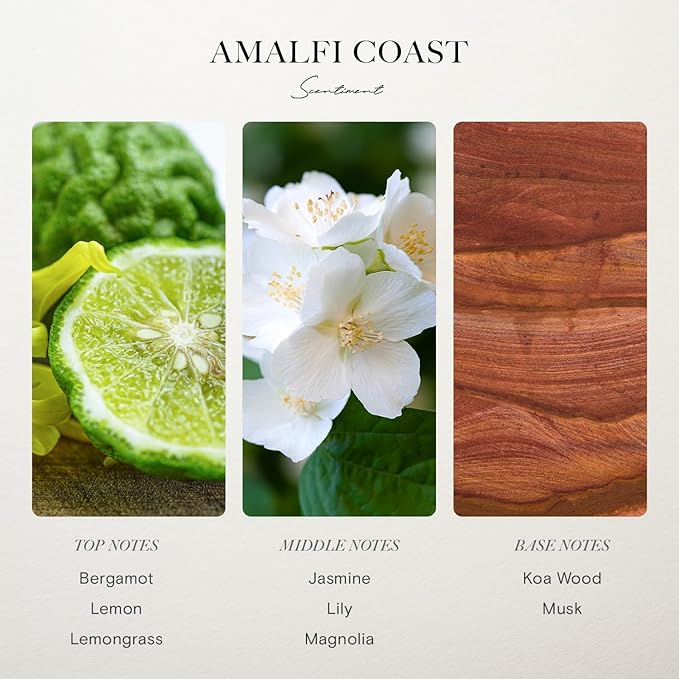 Scentiment Amalfi Coast Diffuser Oil – Bergamot, Lemongrass, Jasmine, Lily, Magnolia & Koa Wood Scent for Diffusers, Fragrance Oil - 1.69 fl oz (50 mL)