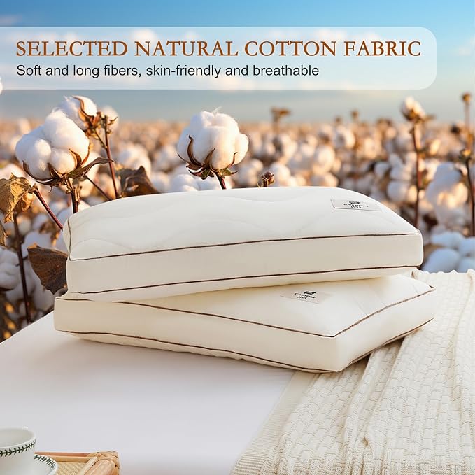 YOUR MOON Natural Wool Pillow Queen Size, Soft Support Bed Pillows for Sleeping, Australian Wool Filling with 100% Cotton Cover, Down Alternative Pillows (Off White)
