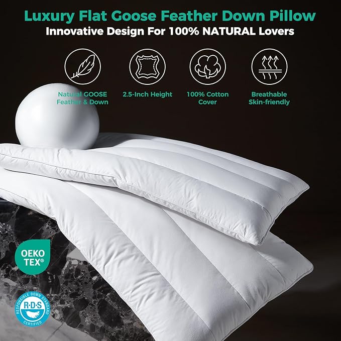 Three Geese Luxury Thin Flat Goose Feather Down Pillows Queen Size Set of 2, 2.5" Height, 100% Cotton Cover, Medium Firm Hotel Collection Ultra Slim Thin Bed Pillows, Machine Washable, 18" x 30"