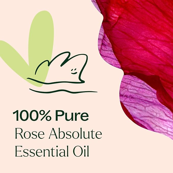 Plant Therapy Rose Absolute Essential Oil, 10 mL (1/3 oz), 100% Pure, Undiluted, Calming & Emotionally Grounding, Great Essential Oil for Skincare