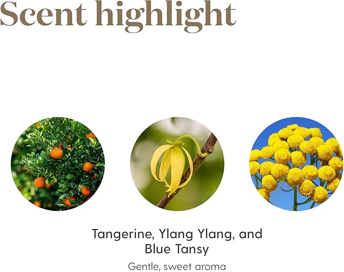Young Living Peace & Calming Essential Oil | 15ml | Tranquil Aromatherapy Blend | Calm, Relaxing & Peaceful | Topical & Aromatic Use | Blue Tansy, Orange, Tangerine, Patchouli, & Ylang Ylang