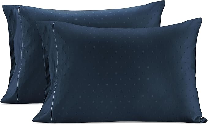 LANE LINEN Pillows Queen Size Set of 2, Soft 100% Egyptian Cotton, Cool & Smooth Pillow Cases - Swiss Dot - Estate Blue
