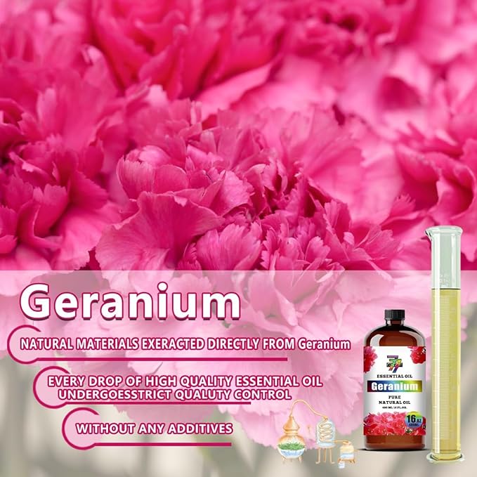 Geranium Essential Oil - Geranium Oils for Diffusers, Humidifiers, DIY Candles, Soap, Cleaning, Home, Office, Yoga, Massage, Gifts - 16 fl oz (480 ml) - GV77ZF