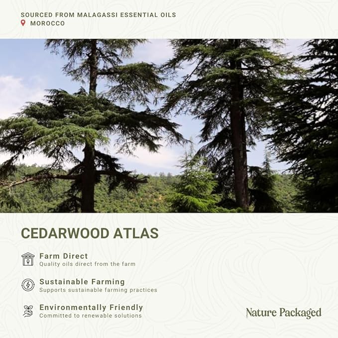 Cedarwood Atlas Essential Oil - Direct from Morocco Forests - Steam Distilled - Cedro del Atlas for Aromatherapy, Massage, Diffuser, DIY Candle and Soap Making - 8oz