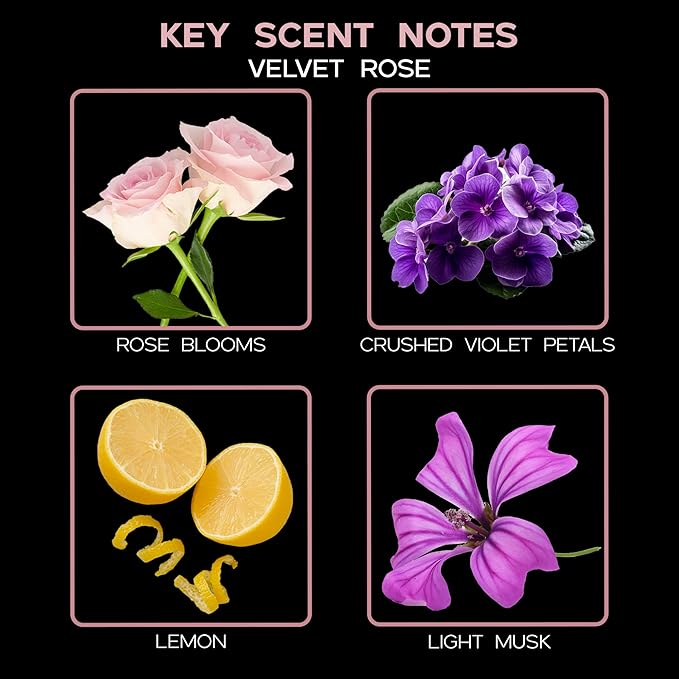 Reed Diffuser Set, Velvet Rose Scented Oil Diffuser with Sticks, Home Fragrance Accessories for Bathroom Shelf Decor, Aroma Diffusers for Home or Office Desk, USA Made