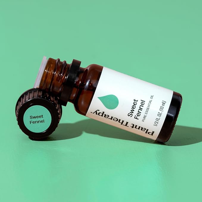 Plant Therapy Sweet Fennel Essential Oil 10 mL (1/3 oz) 100% Pure, Undiluted, Aromatherapy for Attention, Focus, and Digestive Discomfort