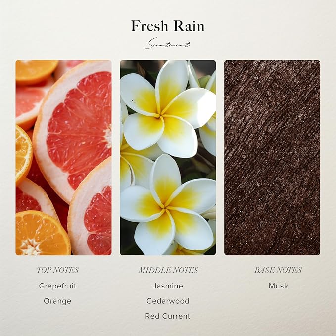 Scentiment Fresh Rain Diffuser Oil – Aromatherapy Home Fragrance, Inspired by Marriott® Hotels, Luxurious Scent with Notes of Fresh Grapefruit and Crisp Red Currant – 0.68 fl oz (20 mL)