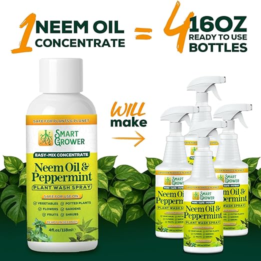 Neem Oil Spray for Plants with Peppermint Oil – for Indoor Household Plants– Best Value Refill 4 oz Concentrate Makes 1/2 Gallon RTU