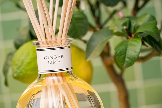 Dr. Vranjes - Ginger Lime 2500 ml Refill + Double Pack of White Sticks (3 Pieces Bundle)- Luxury Home Fragrance, Made in Italy, Main Scent: Fruity, Olfactory Pyramid: Lime, Ginger, White Pepper