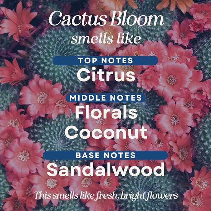 CANDECraftCo 1 Fl oz Fragrance Oils for Aromatherapy, Essential Oils for Home Diffusers, DIY Candle and Soap Making, DIY Scented Products (1 oz, Cactus Bloom)