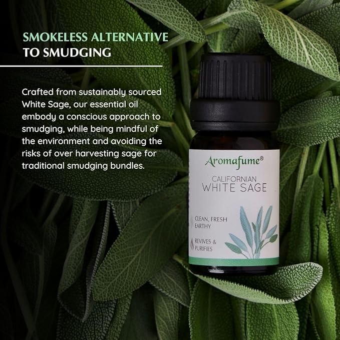 Californian White Sage Essential Oil Diffuser Blend by Aromafume | 3x10ml/0.33 fl oz | Aromatherapy Oil for Cleansing Negative Energy & Protection | Ethically sourced | Sage Oil for Smokeless Smudging