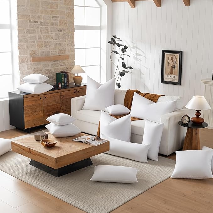 basic home Hotel-Style Goose Feather Down Euro Pillow Insert for Sofa & Bed - 100% Odorless & Plump Cushion Filler - 233TC Cotton with Inner Liner to Prevent Poking (30x30 Inch)