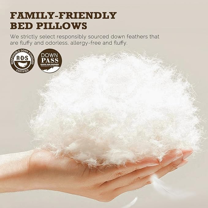 BPC Goose Feather Down Pillows King Size Set of 2, Luxury Hotel Pillows with 100% Organic Cotton Cover, Bed Pillow for Medium Firm Support & Cloud-Like Comfort, 20"x36"