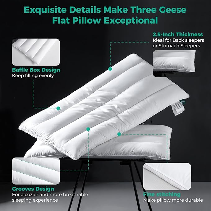 Three Geese Luxury Natural Flat Thin Goose Feather Down Pillows Queen Size, 2.5" Height, 100% Organic Cotton Cover, Medium Firm Hotel Collection Ultra Slim Thin Bed Pillows, Machine Washable