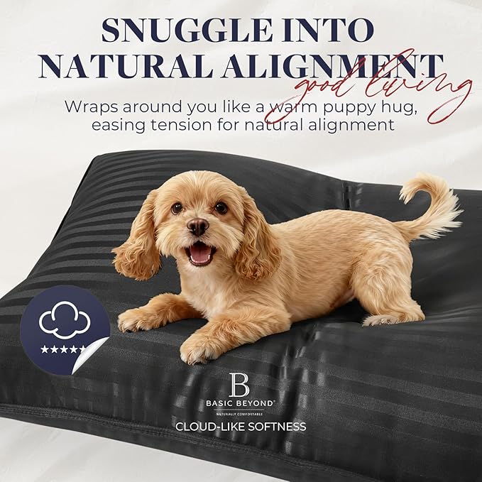 Basic Beyond Bed Pillows for Sleeping - Standard Size Pillows Set of 2 - Luxury Hotel Collection Down Alternative Pillows, Black, 20x26 Inches