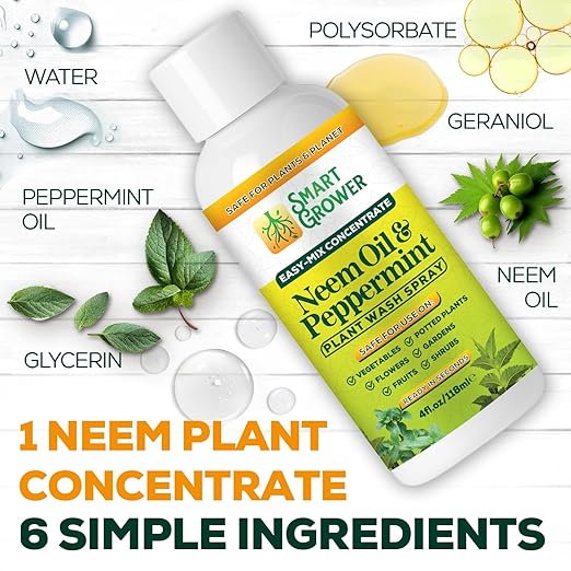 Neem Oil Spray for Plants with Peppermint Oil – for Indoor Household Plants– Best Value Refill 4 oz Concentrate Makes 1/2 Gallon RTU