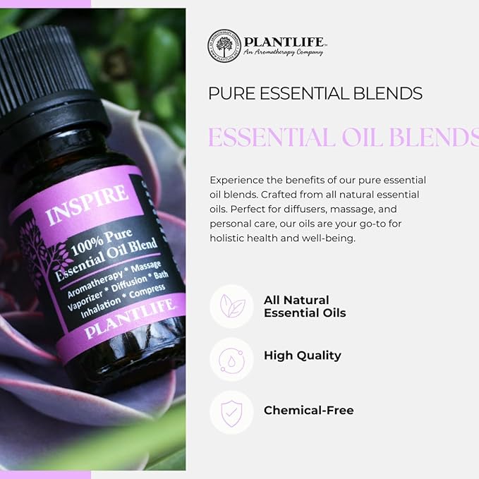 Plantlife Study Buddy Aromatherapy Essential Oil Blend - Straight from The Plant 100% Pure Therapeutic Grade - No Additives or Fillers - Made in California 10 ml