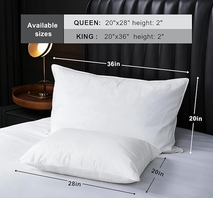 Goose Down Pillow, Hotel Quality with Feather Fill, 750 Fill Power King Size - 2 Pack with Pillowcase for Master Bedroom, Support for Back, Side, Stomach Sleepers (King 20" x 36")
