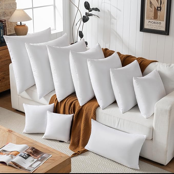 basic home Hotel-Style Goose Feather Down Euro Pillow Insert for Sofa & Bed - 100% Odorless & Plump Cushion Filler - 233TC Cotton with Inner Liner to Prevent Poking (30x30 Inch)
