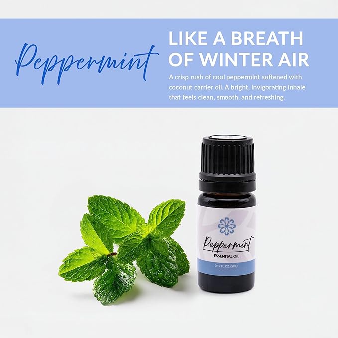 Essence Refresh Kit | Solid Scents Essential Oils | Aromatherapy Nasal Diffuser | Personal Scent Clip for Travel, Work & Everyday Use | Made in USA | Peppermint | Bamboo/Glass Pod