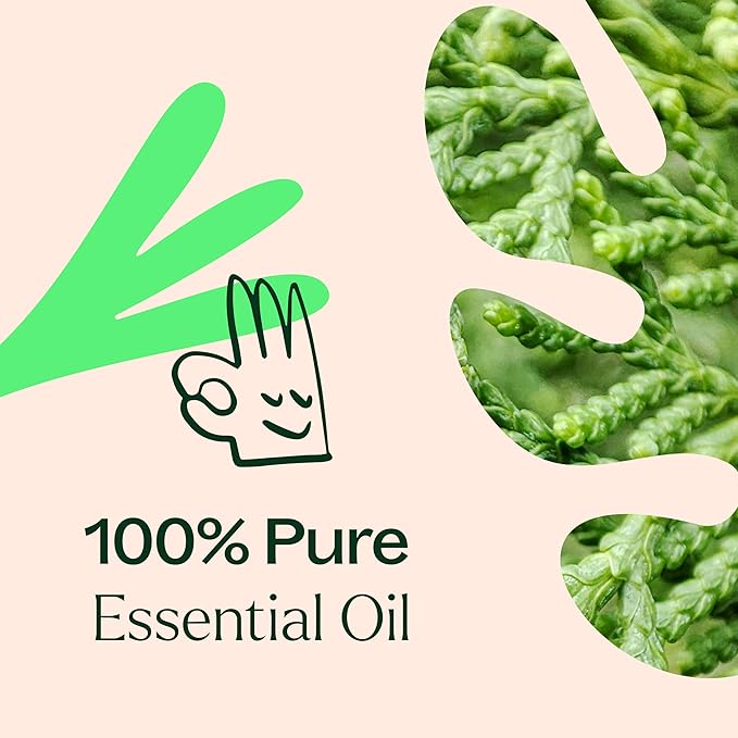 Plant Therapy Deodorizing Essential Oil Blend, 100 mL (3.3 oz), Made with 100% Pure Essential Oils, Undiluted, Perfect for Essential Oil Diffusers and Freshening A Room