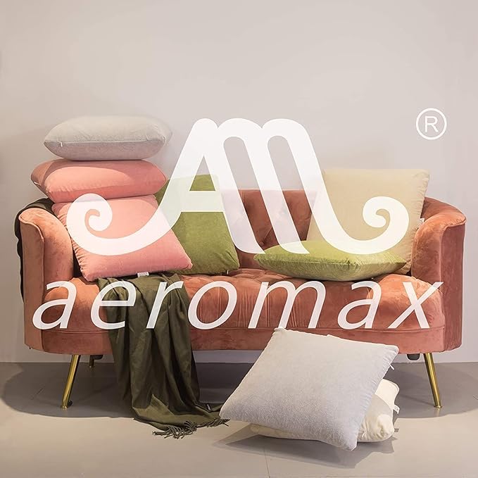 AM AEROMAX 22 ×22 Pillow Insert (Pack of 2) Memory Foam Throw Pillow Insert Sham Square for Decorative Cushion Bed Couch Sofa Without Deform After Longtime Use(Grey)