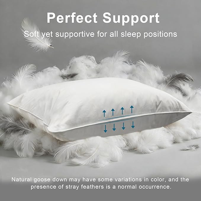 Goose Down Pillow, Hotel Quality with Feather Fill, 750 Fill Power Queen Size - 2 Pack with Pillowcase for Master Bedroom, Support for Back, Side, Stomach Sleepers (Standard Size 20" x 26")
