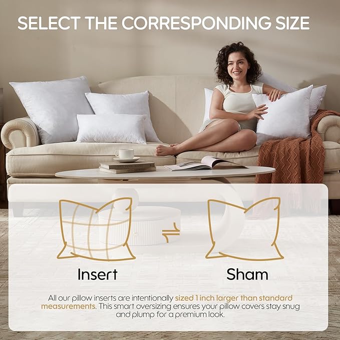 Feather Throw Pillow Inserts Set of 4, Soft Fluffy Square 22 x 22 Inches Decorative Pillow Insert, Feather and Down Euro Pillows for Bed, Couch and Cushion