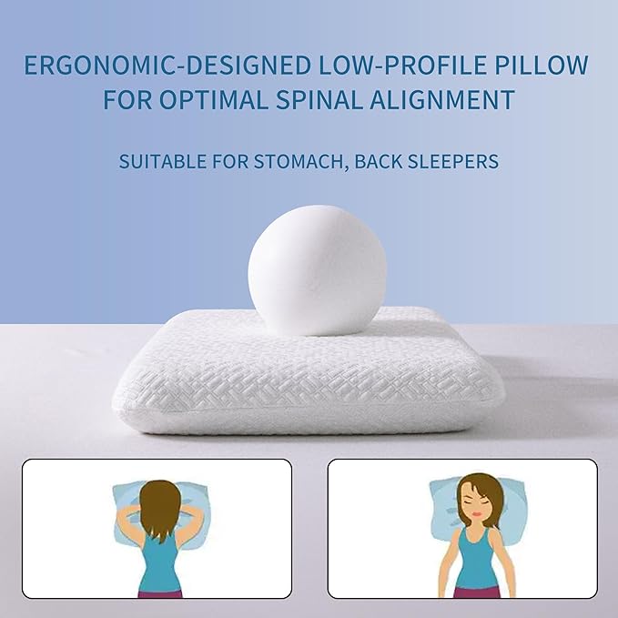 Ultra Thin, Flat Pillow for Sleeping 2.75 Inch Height, Thin Memory Foam Pillow for Stomach Sleeper, Slim Bed Pillow for Side and Back Sleepers, Standard Size