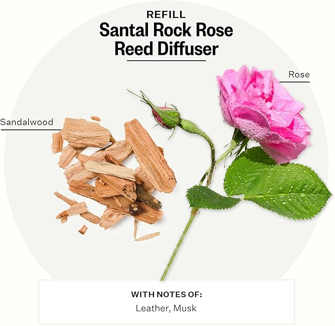 Apotheke Luxury Scented Oil Reed Diffuser Liquid Refill (Santal Rock Rose) - Premium Home Fragrance Diffuser Refill Set with Sticks