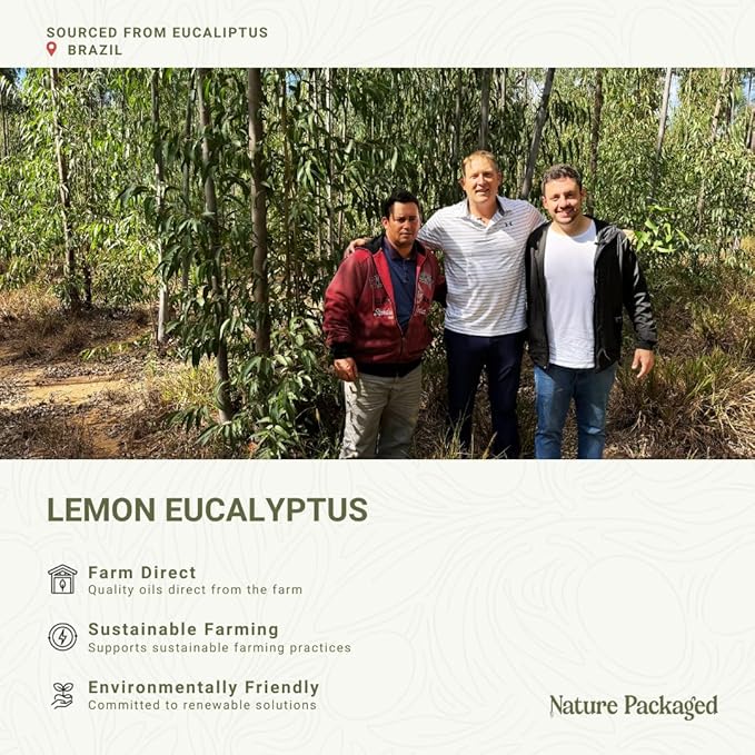 Lemon Eucalyptus Oil by Eucaliptus from Brazil - Pure Lemon Eucalyptus - 100% Pure Steam Distilled Natural Aceite de Eucalipto Limón - Aromatherapy - Premium Therapeutic Grade (8oz)