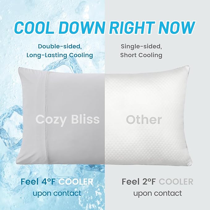 Cozy Bliss Cooling Pillow Cases for Hot Sleepers, Q-Max>0.45, Queen Size Set of 2, Soft & Silky Pillow Covers with Envelope Closure,Gift, Light Gray, 20x30 Inches