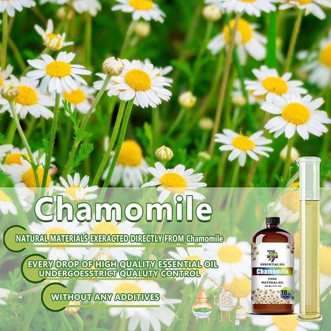 Chamomile Essential Oil - Chamomile Oils for Diffusers, Humidifiers, DIY Candles, Soap, Cleaning, Home, Office, Yoga, Massage, Gifts - 16 fl oz (480 ml) - GV77ZF