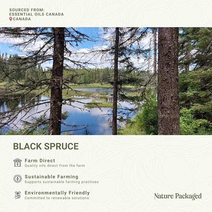 Black Spruce Essential Oil from Canada - Pure Essential Oils for Diffuser, Humidifier, or Aromatherapy- Fresh & Forest-Like | Pure Therapeutic Grade (8oz)