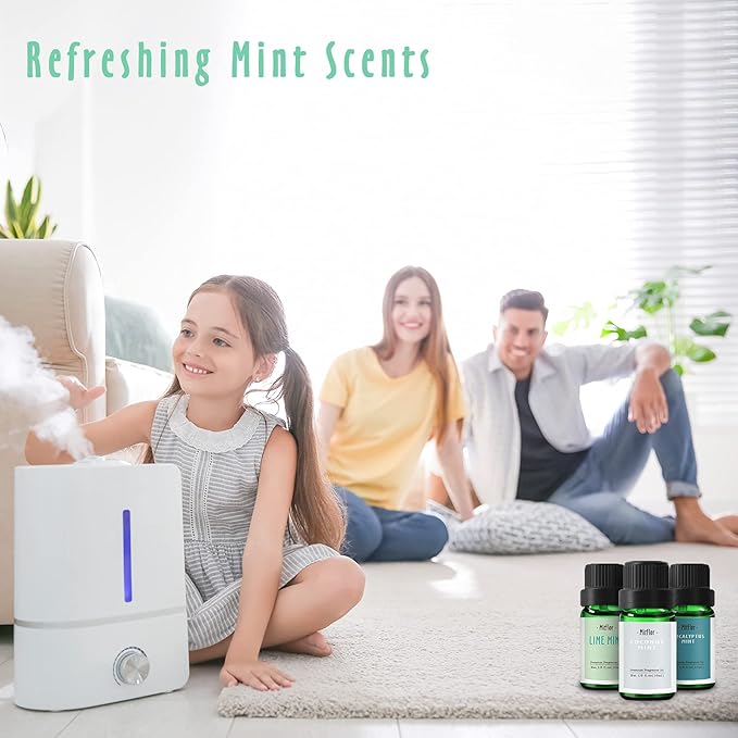 Fragrance Oils Set of Mints, MitFlor Premium Scented Oils for Diffuser, Soap & Candle Making Scents, Refreshing Home Fragrance, Aromatherapy Oil Gift Set, Cedarwood Mint, Coconut Mint and More, 6x10ml