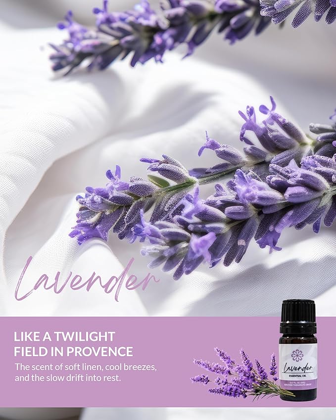Essence Pearl Travel Case | Lavender Essential Oil | Aromatherapy Nasal Diffuser & Essential Oil Carrying Case | Calming Lavender Oil Scent | Travel-Friendly Kit | Black Pod