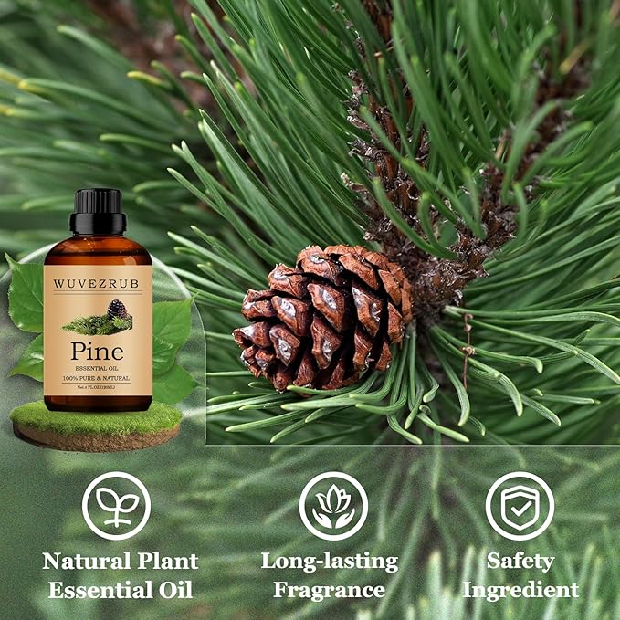 Pine Essential Oils 120ML, Pure Pine Essential Oil for Aromatherapy Diffuser - 4 Fl Oz