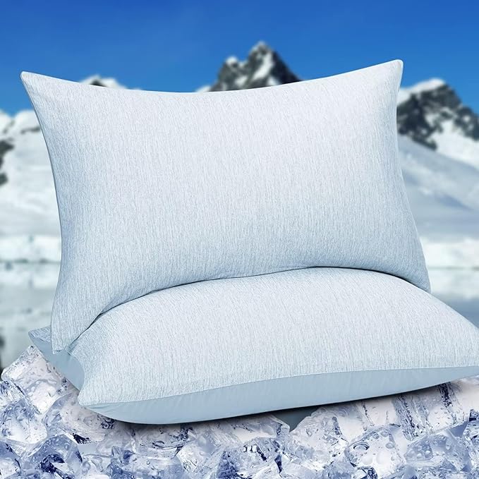 HOMFINE Cooling Pillowcases Queen Size - Double Side Q-Max 0.439 Cooling Fiber for Pillow Protector, Breathable Cold Pillow Cover for Hot Sleeper Night Sweat, Zipper, 2 Pack (20"x30", Light Blue)