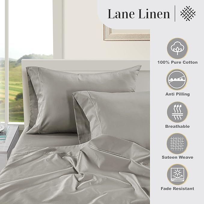 LANE LINEN Pillows Queen Size Set of 2 Soft 100% Egyptian Cotton Cool & Smooth Pillow Cases - Silver