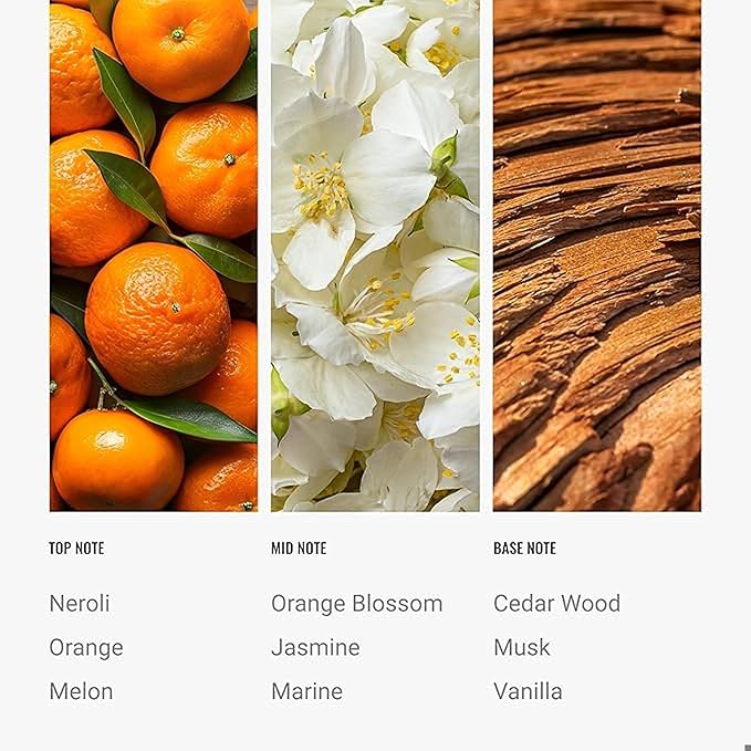 Hotel Collection Diffuser Oil - Paradise - Aromatherapy Essential Fragrance Oil - Melon, Jasmine & Musk - 120ML 4.1 Fl oz