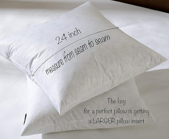 basic home® Hotel-Style Goose Feather Down Euro Pillow Insert for Sofa & Bed - 100% Odorless & Plump Cushion Filler - 233TC Cotton with Inner Liner to Prevent Poking (24x24 Inch)