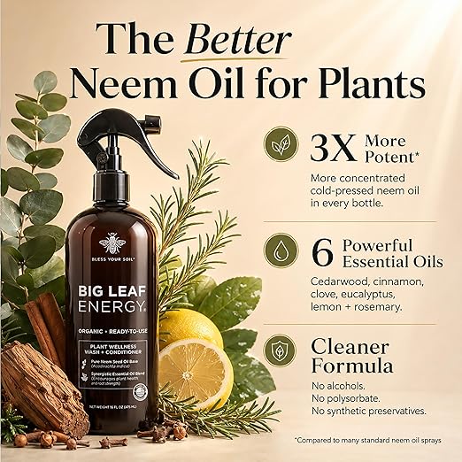 Neem Oil Spray for Plants – Big Leaf Energy + Essential Oils – Ready to Use Organic Plant Wash to Protect Outdoor & Indoor Plants, Made in USA (16 fl oz)