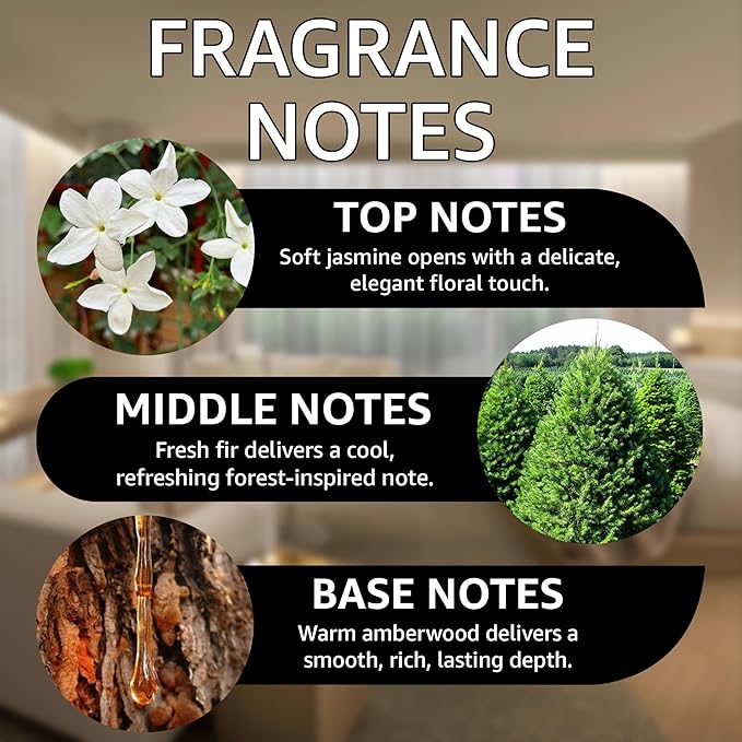Bougie 540 Fragrance Oil | Jasmine, Fir & Amberwood Notes | Long Lasting Scent Reed Diffuser Oil for Home, Office, Hotel, Spa, Car & Linen Spray | Pet Friendly IFRA Compliant, 4 oz